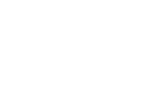 Parlante Digital