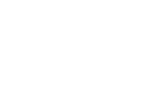 Algográfico